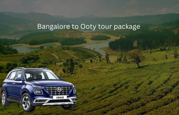 Bangalore to Ooty tour package